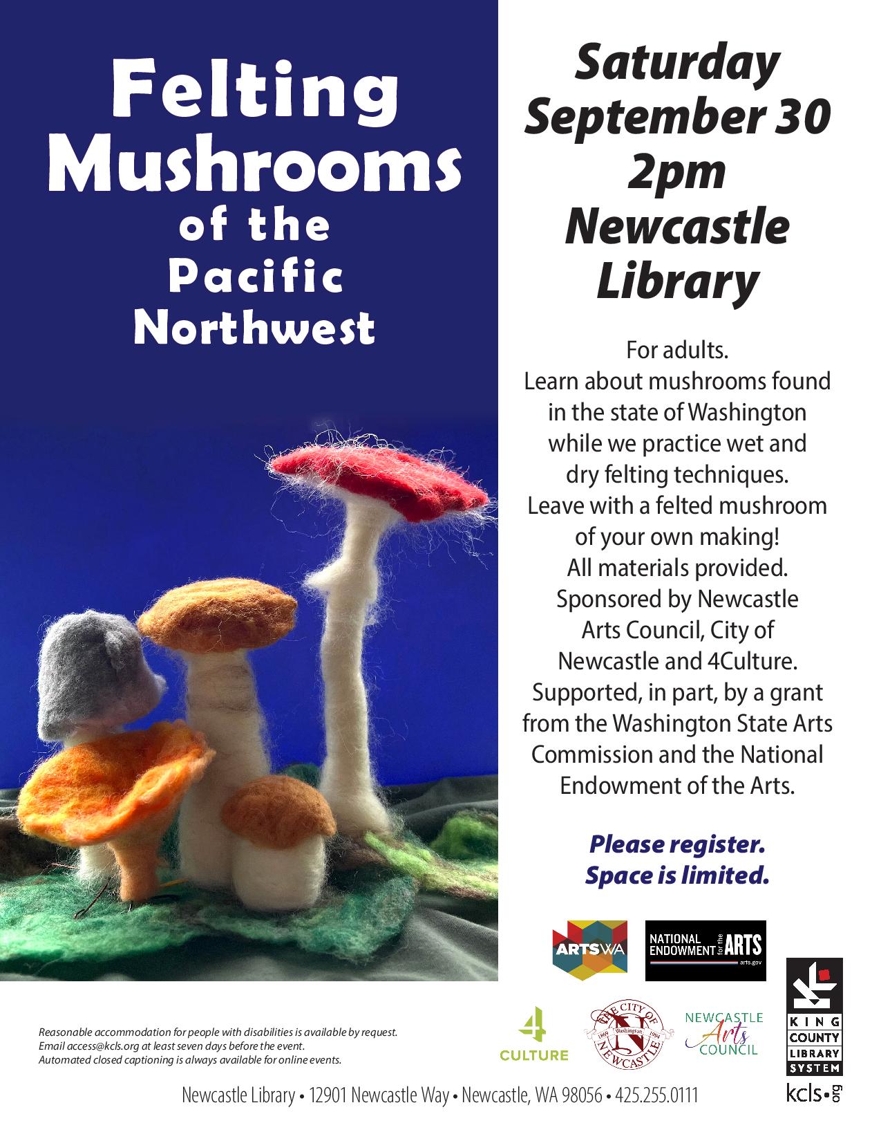 29910-NC -Felting mushrooms flyer (1)-page-001